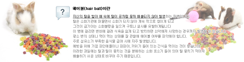 ���ɾ� : ������ ���� ���� ���ξ����̳� ���ľ�, Ű���� ��� �ִ� ������ ���̴� ���� �����ϴ�